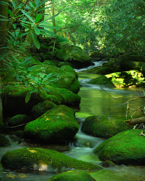 Elkmont Green