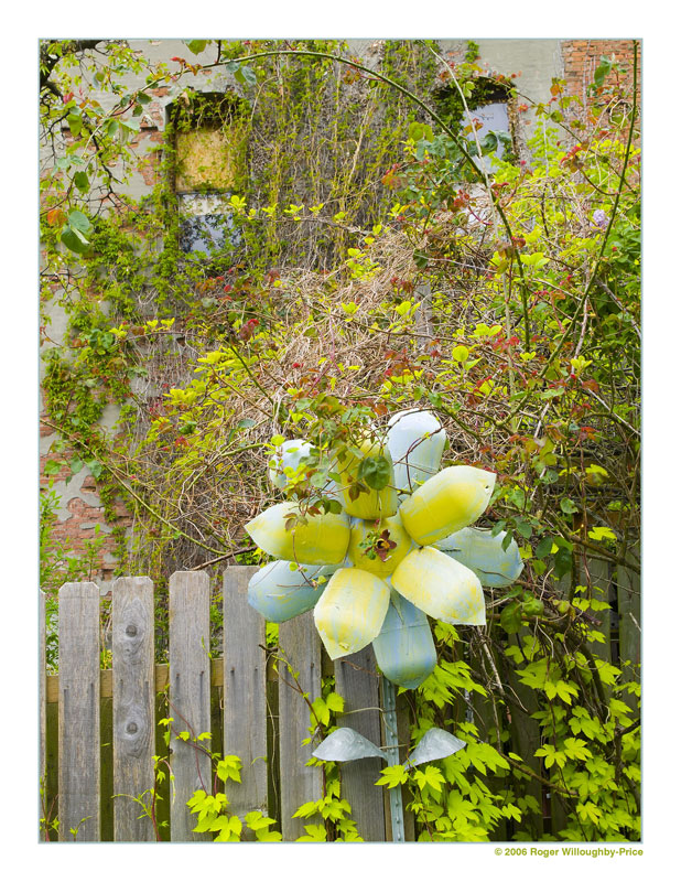 Fairhaven: Flower