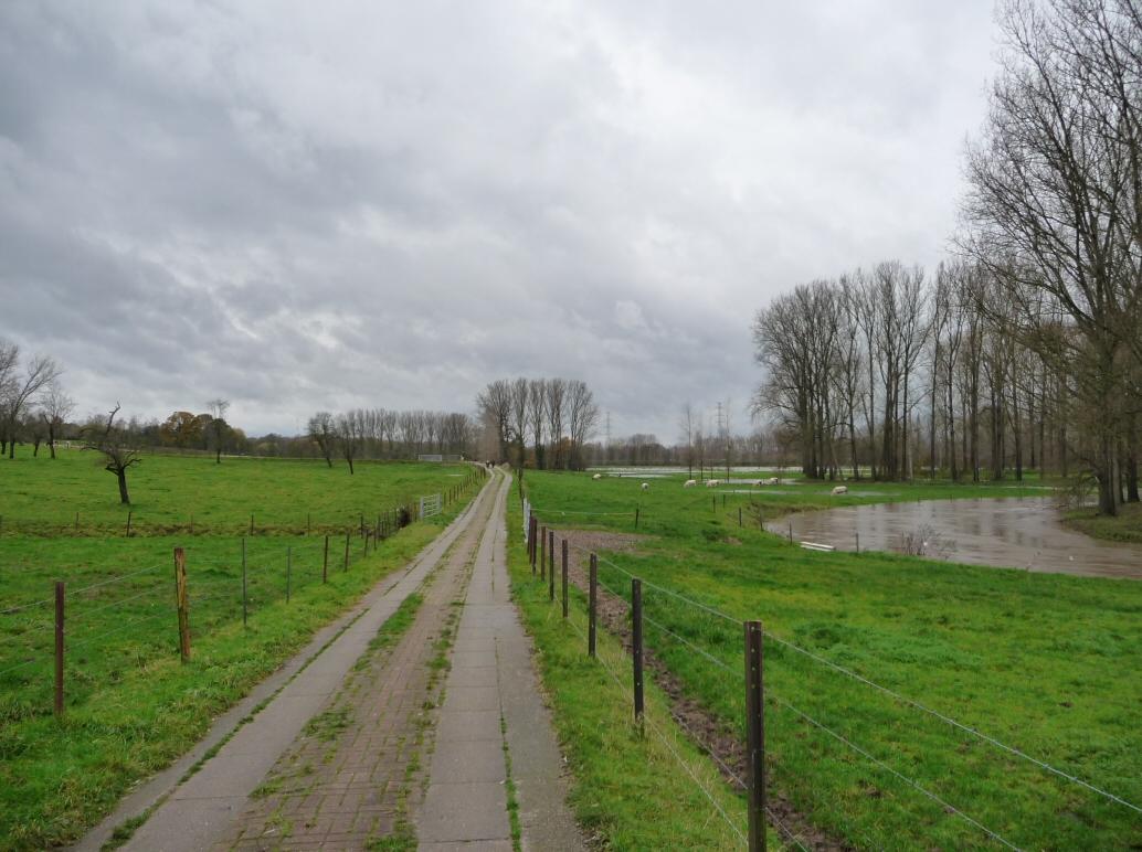 Valle de la Senne (en crue)  Drogenbos-Beersel.