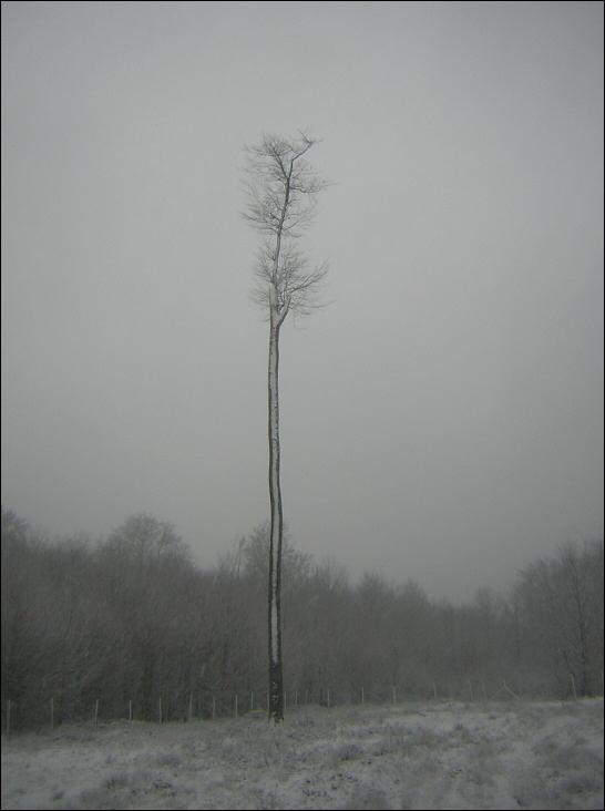 Seul, il a froid.