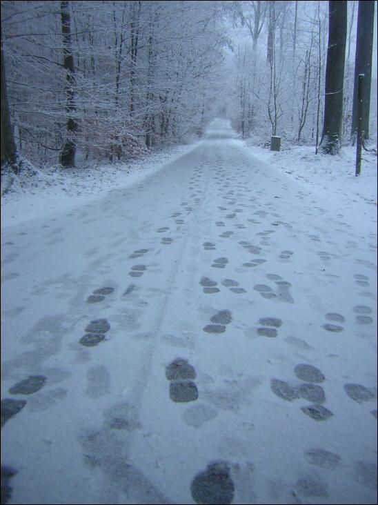 On a march sur la neige.