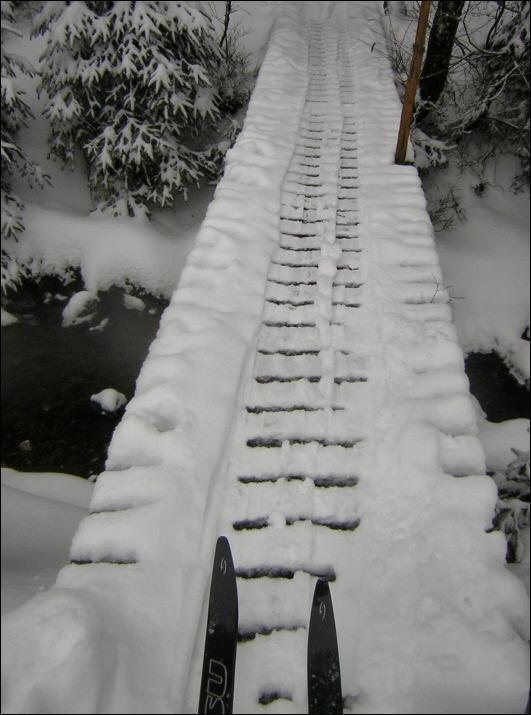 Nordic ski.