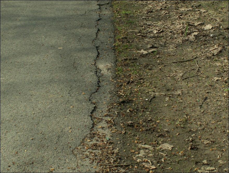 3/5/2006 - La piste safaisse en plusieurs encroit suite aux passages des engins de chantier.