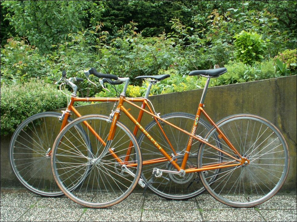 A larrire plan, un Superia de 9,7 kg dans sa configuration singlespeed.