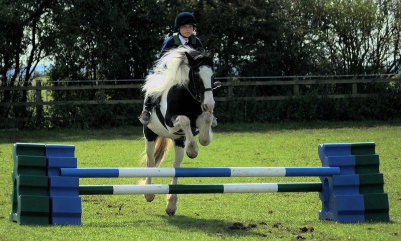 Pony Camp Eventing - Jumping #2