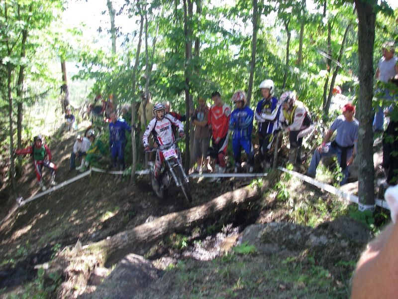 IMGP1016sm.JPG