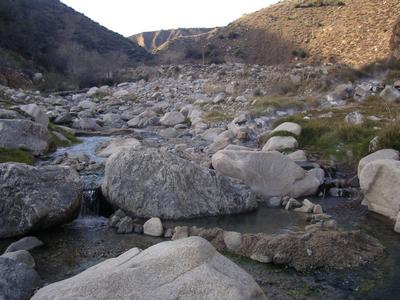 IMGP4451-wr.JPG