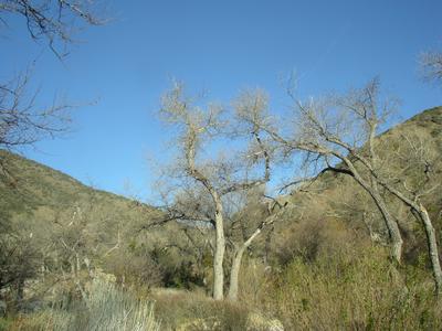 IMGP4473-wr.JPG