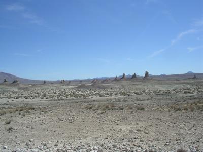 trona pinnicals