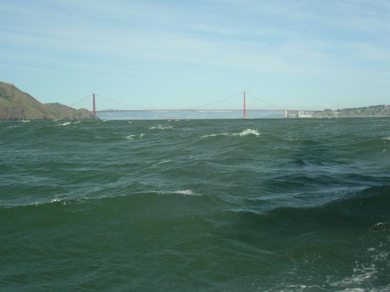 IMGP5301-wr.JPG