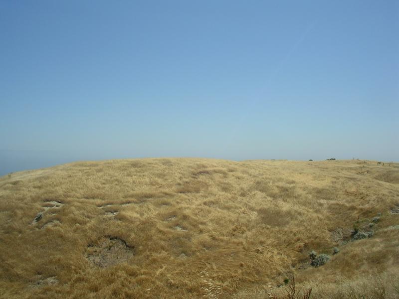 IMGP5364-wr.JPG