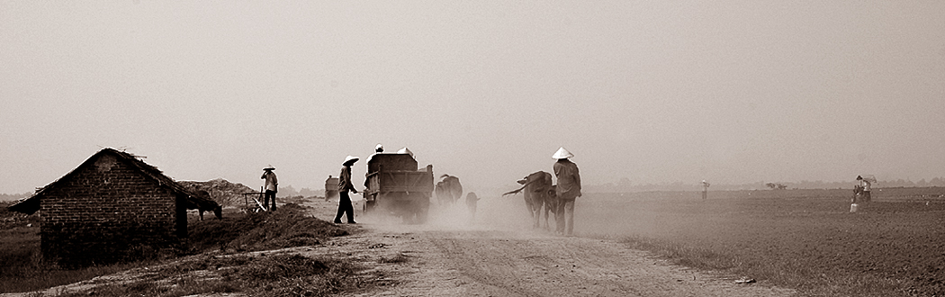 Daily day in rice field.jpg