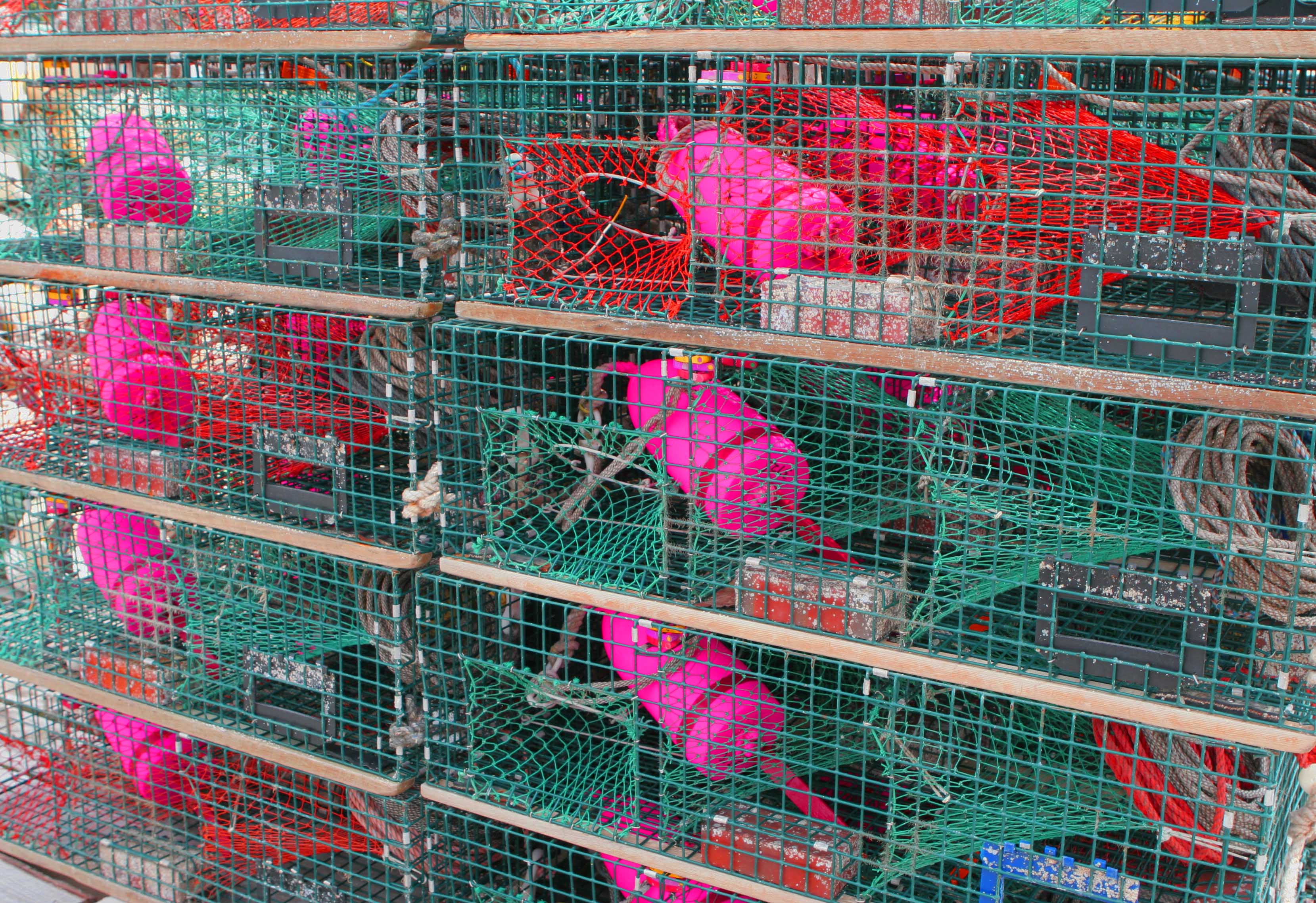 lobster pots and buoys2