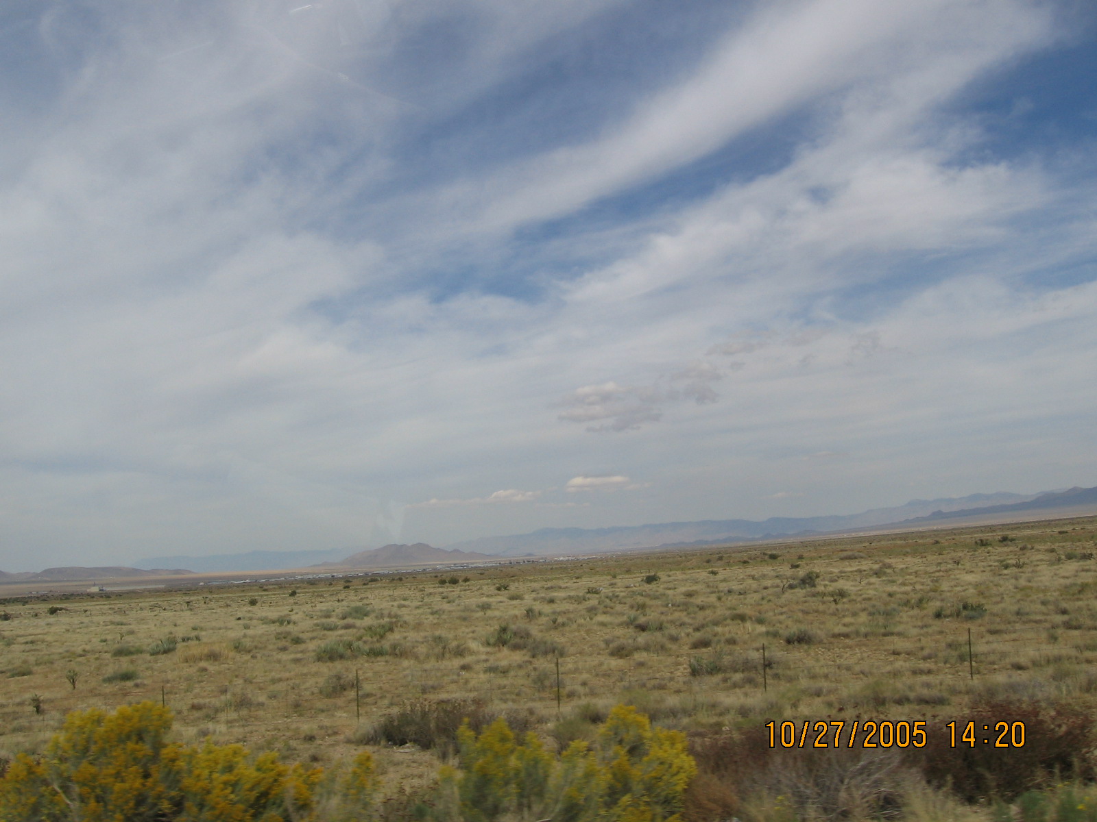 IMG_0753.jpg