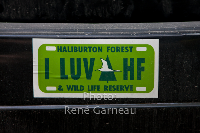 Haliburton10-7946.jpg