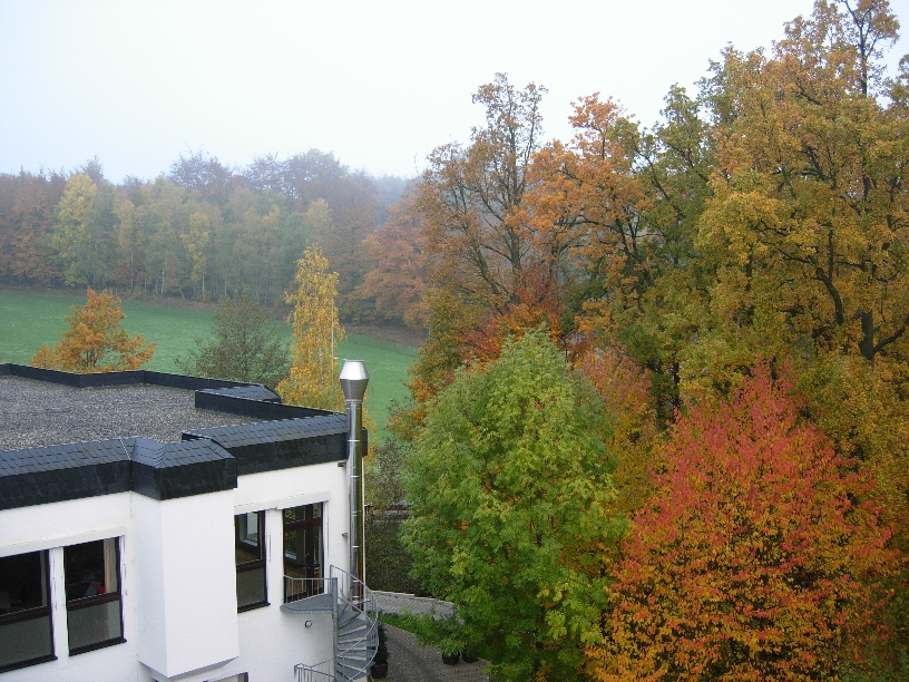 View from Hotel Room