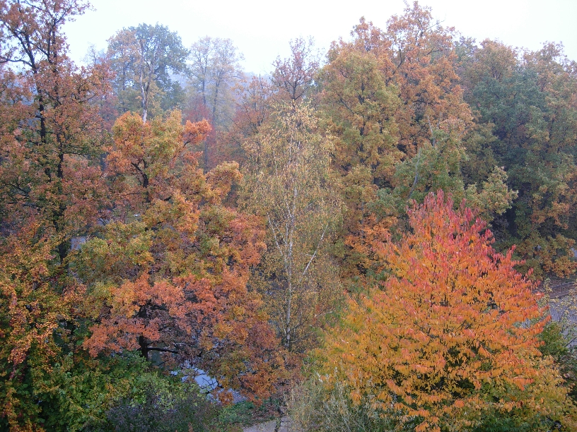 View from Hotel Room