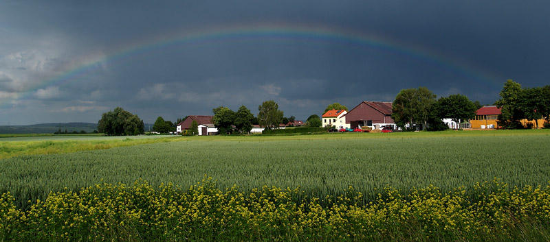 Regenbogen