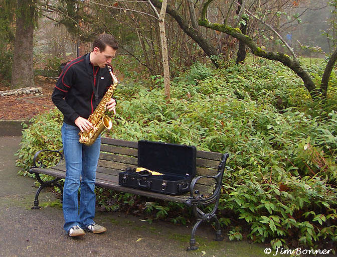 Playing for the Forest