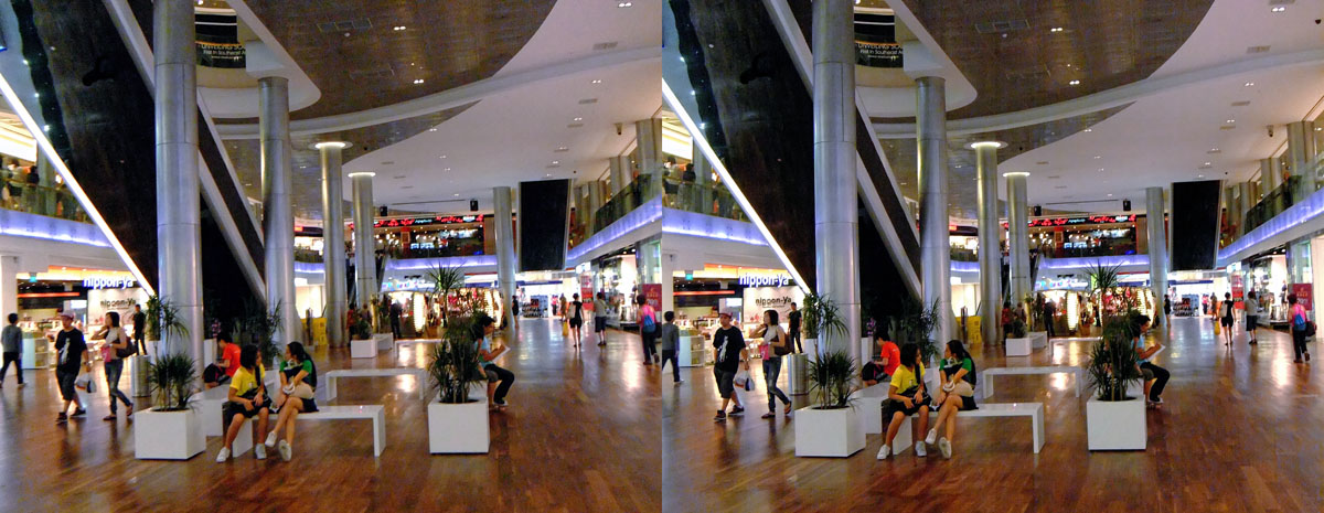 ION Orchard (Cross-View Stereo)