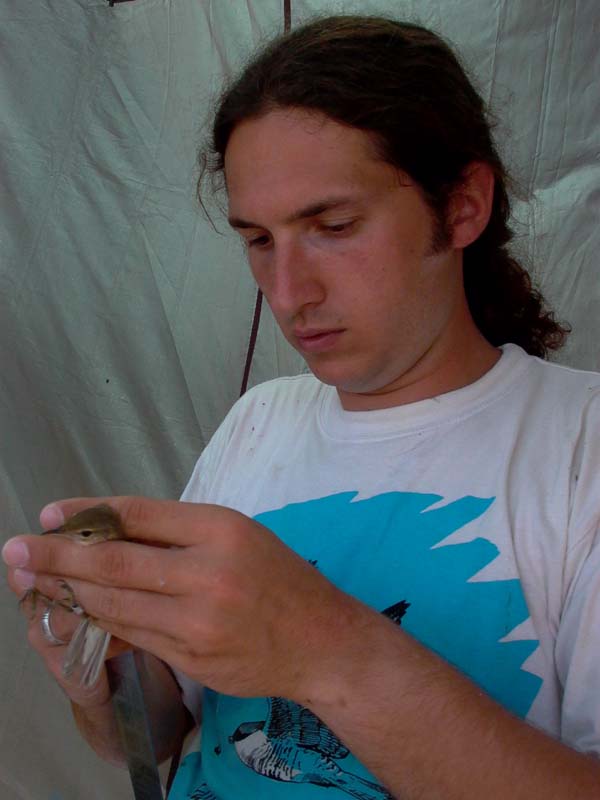Cristian ringing - Cristian anillando