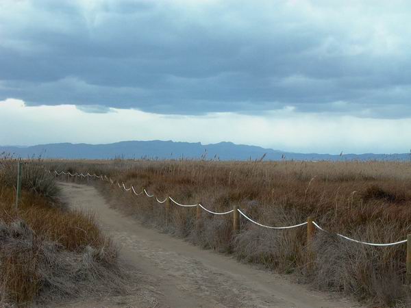 Garxal Nature Reserve - Laguna del Garchal - Llacuna del Garxal