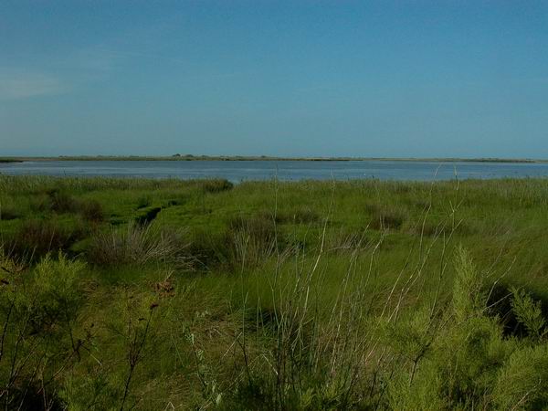 Garxal Nature Reserve - Itinerario para hacer en bici en la laguna del Garxal