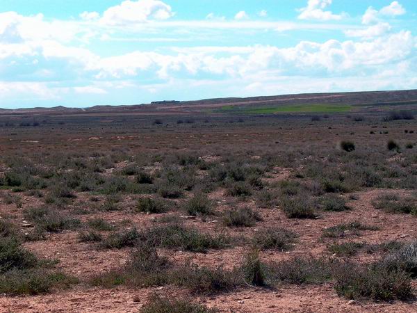 The SEO/Birdlife reserve at Planern