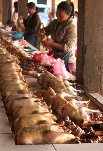 Sam Neau market.Ducks