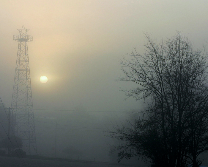 foggy morning