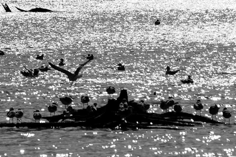 060108_135A.jpg