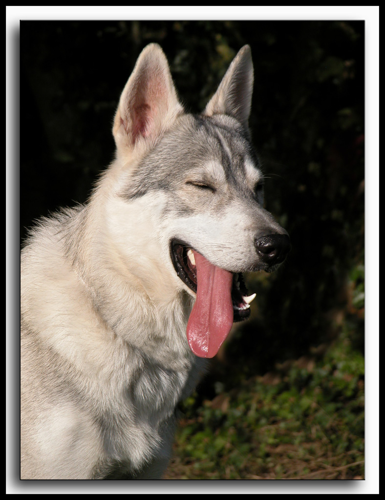 Ive just run three miles need a nap!