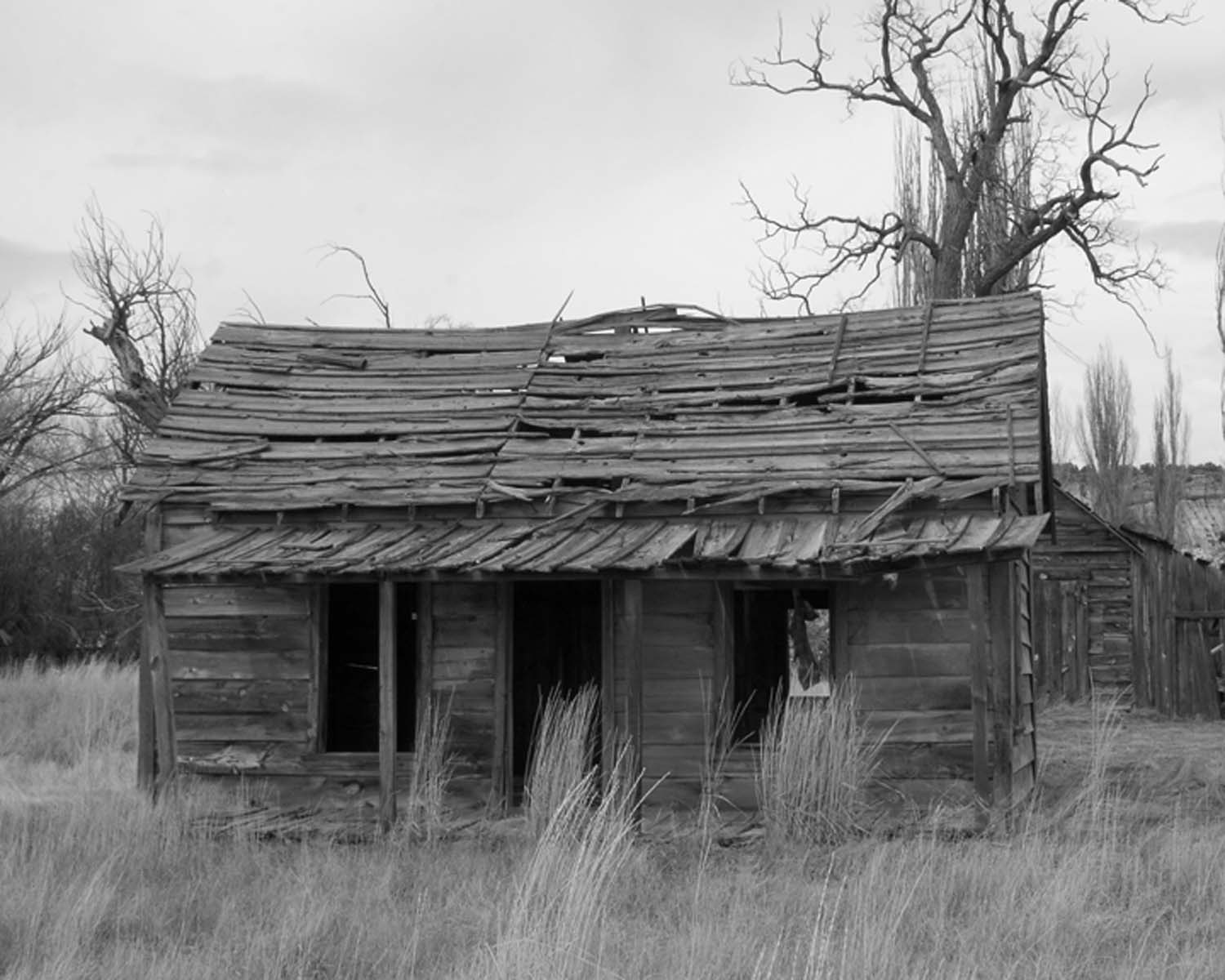 homestead from movie dalton girls.jpg