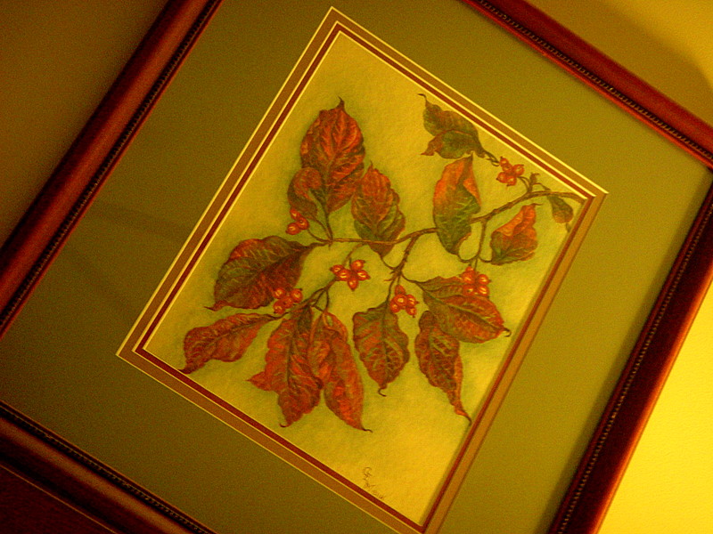 Dogwood Art