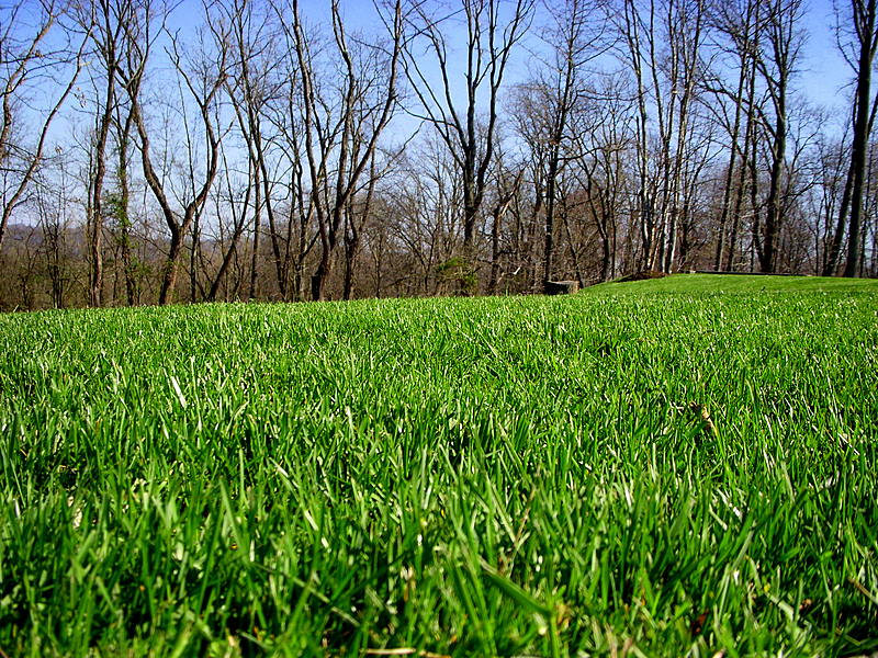Green Green Grass of Home