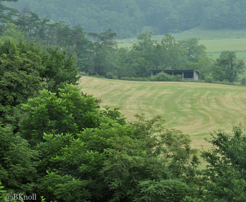 Appalachian Mountians Drive