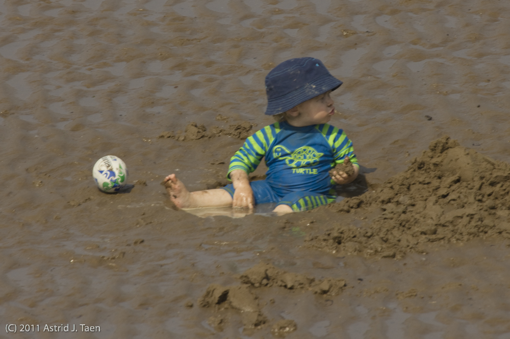 Sunny Day at the Beach