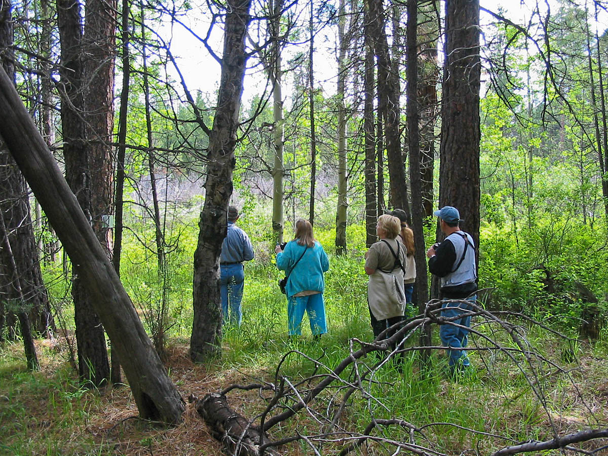 Birders at Calliope Crossing
