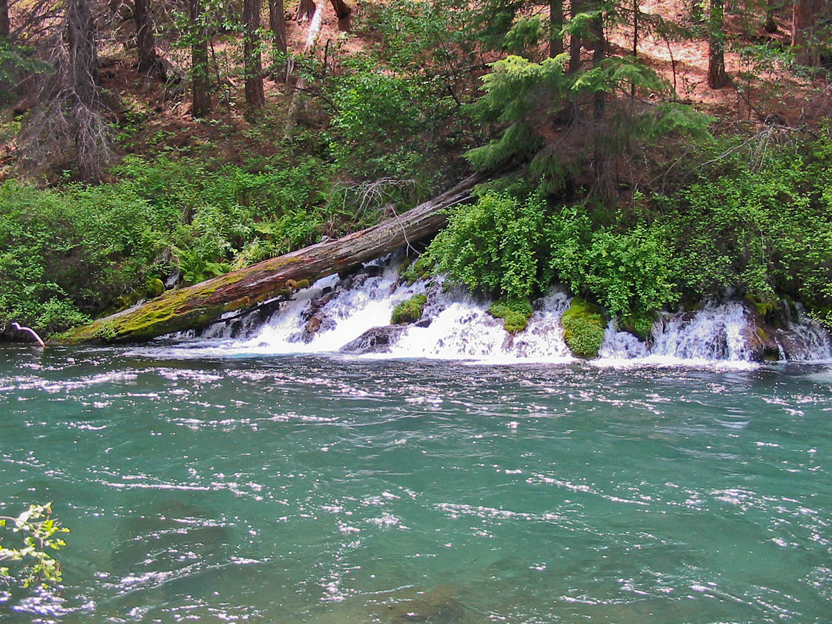Gushing Springs