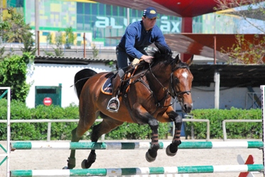Horse3.JPG
