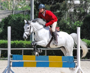 Horse4.JPG