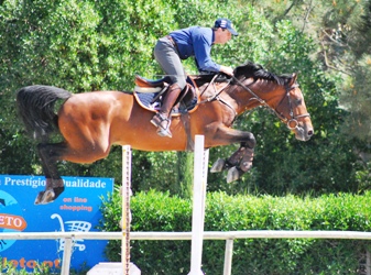Horse5.JPG