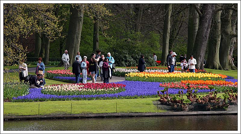 Keukenhof