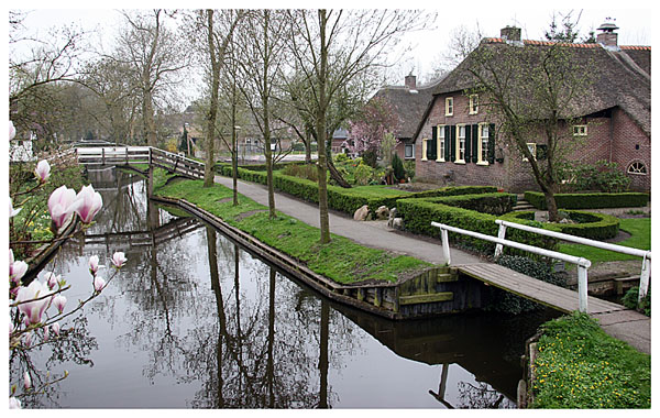 Giethorn