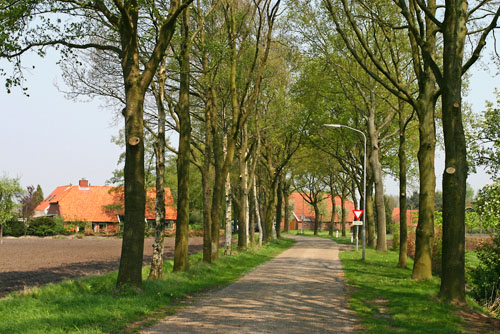 Veenhuizen - Boerderijen