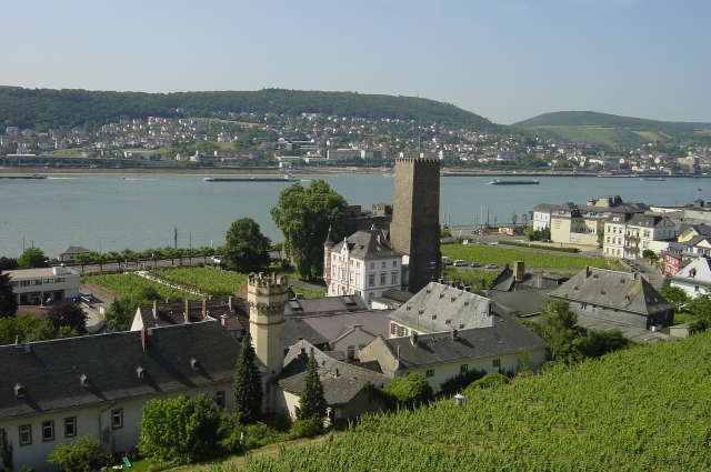 Rhein bei Ruedesheim / Bingen