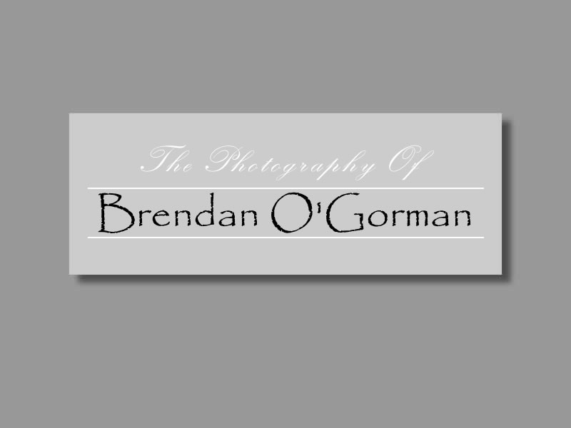 Brendan OGorman