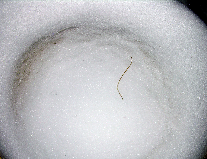 snow bowl