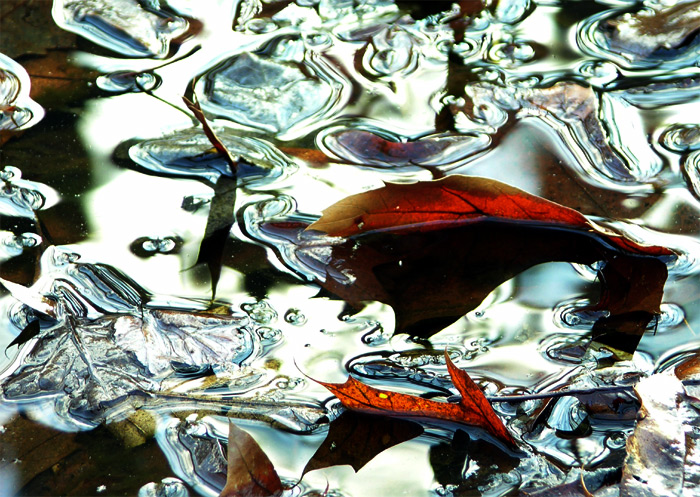 surface tension