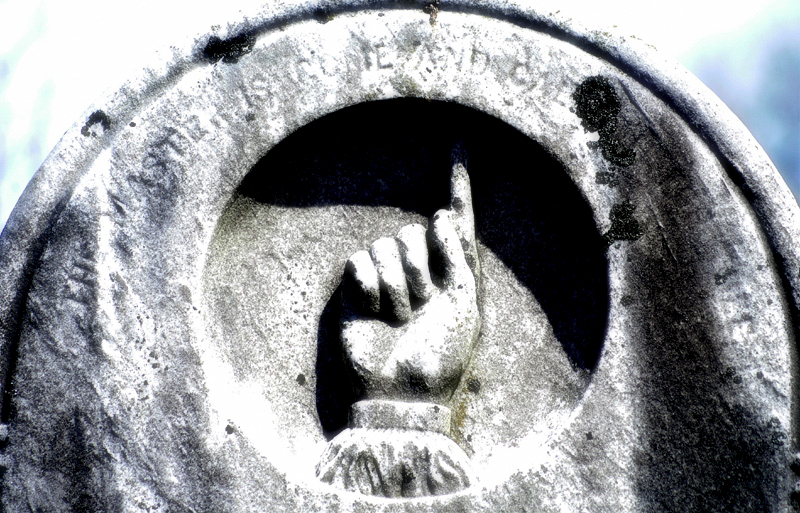 eternal optimist 3